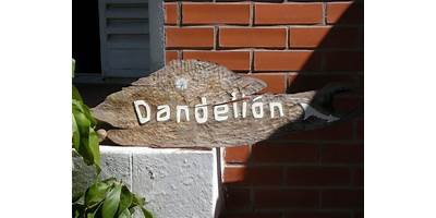 INSTITUTO DANDELION