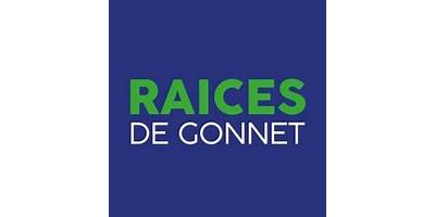 INSTITUTO RAICES DE GONNET