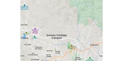 Imagen de la galería