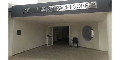 PACHI GORRITI EX N° 177