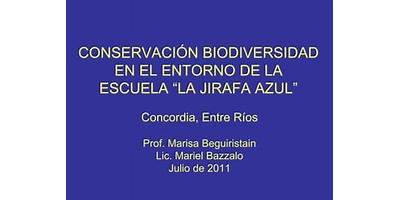 Imagen de la galería