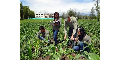 CENTRO DE EDUCACION AGROPECUARIA NRO. 3
