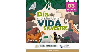 INSTITUTO VIDA SILVESTRE, NATURALEZA Y AVENTURA DE EDUCACIÓN