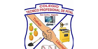 I.S.F.T.P. DE PITUIL