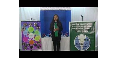 NEP Y FP Nº41 - TALLER MUNICIPAL