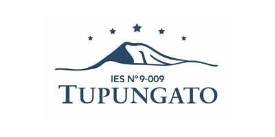 Nº 9-009 INSTITUTO DE EDUCACIÓN SUPERIOR TUPUNGATO