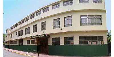 INSTITUTO CULTURAL ROCA