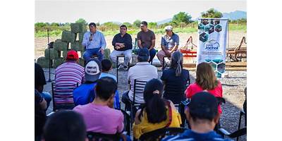 Imagen de la galería