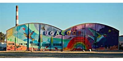 Imagen de la galería