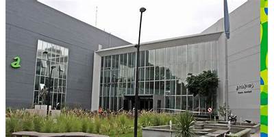 Imagen de la galería