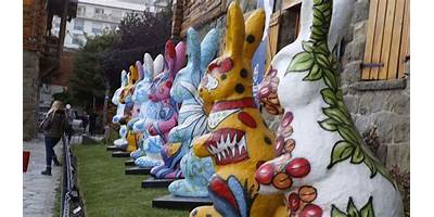 Imagen de la galería