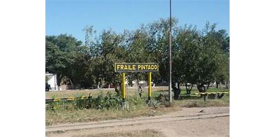 JARDÍN INDEPENDIENTE N 39