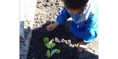 JARDIN MATERNAL ABEJITAS