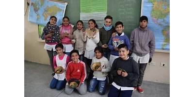 Imagen de la galería