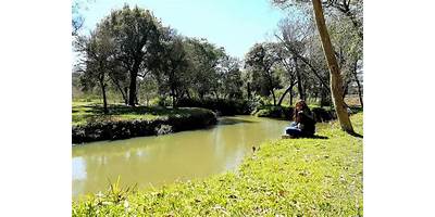 JUJUY 36
