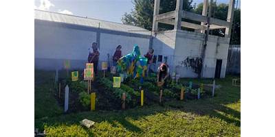 CENTRO DE DESARROLLO INFANTIL GRILLITO SALTARIN