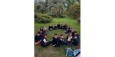 Imagen de la galería