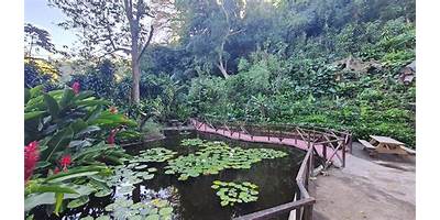 JARDÍN DE INFANTES Nº907 EL JARDÍN DE LA LAGUNA