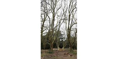 JARDÍN DE INFANTES Nº909 DOMINGO FAUSTINO SARMIENTO