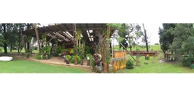 Jardín Maternal Nº J-381