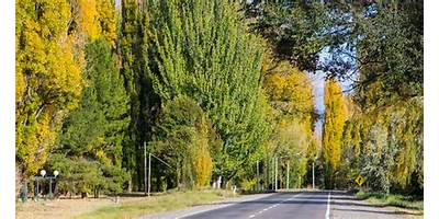 N° 832 PASO DE LAS CARRETAS