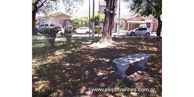 Imagen de la galería