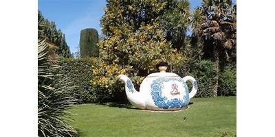 Imagen de la galería